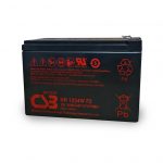 12 Volt 9 Amp Hour Battery